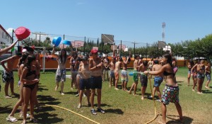 DSC02217